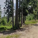 Dom Pod Salamandra Koninki Poręba Wielka