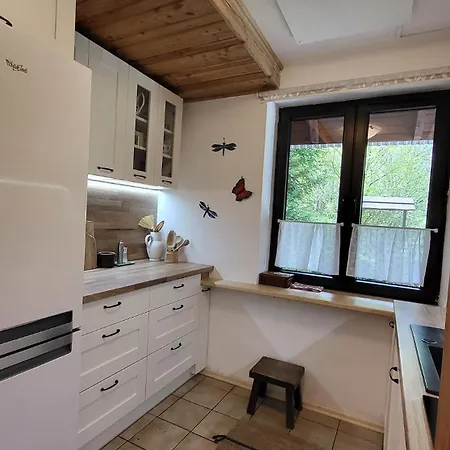 Holiday home Dom Pod Salamandra Koninki