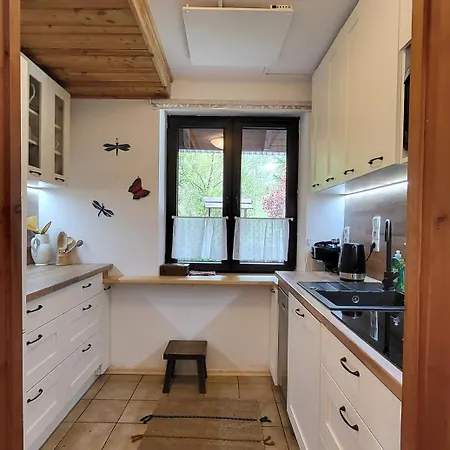 Dom Pod Salamandra Koninki Tatil Evi Poręba Wielka