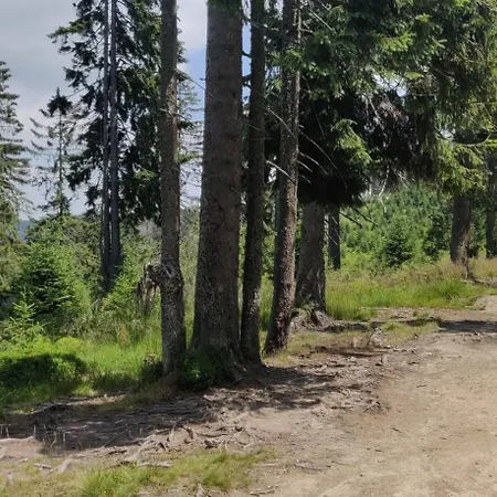 Dom Pod Salamandra Koninki Poręba Wielka